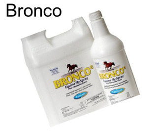 Bronco