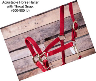 Adjustable Horse Halter with Throat Snap, (600-900 lb)