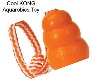 Cool KONG Aquarobics Toy