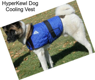 HyperKewl Dog Cooling Vest