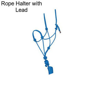 Rope Halter with Lead