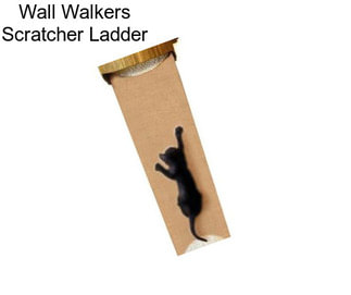 Wall Walkers Scratcher Ladder