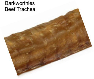 Barkworthies Beef Trachea