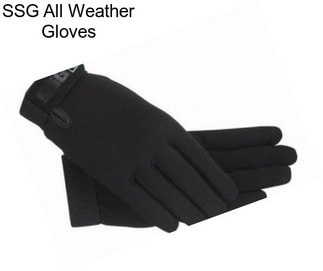 SSG All Weather Gloves