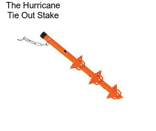 The Hurricane Tie Out Stake