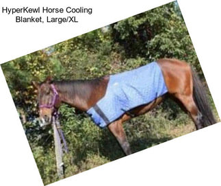 HyperKewl Horse Cooling Blanket, Large/XL