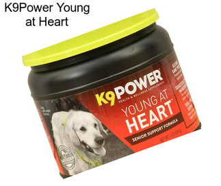 K9Power Young at Heart