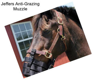 Jeffers Anti-Grazing Muzzle