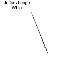 Jeffers Lunge Whip