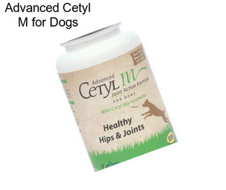 Advanced Cetyl M for Dogs