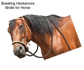 Breaking Hackamore Bridle for Horse