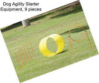 Dog Agility Starter Equipment, 9 pieces