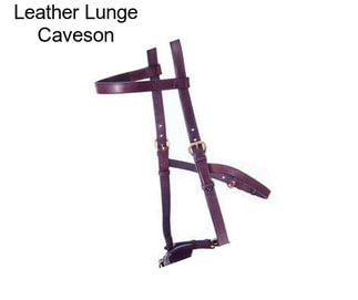 Leather Lunge Caveson