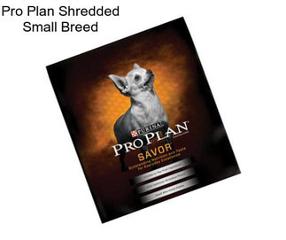 Pro Plan Shredded Small Breed