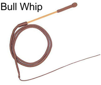 Bull Whip