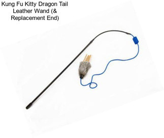 Kung Fu Kitty Dragon Tail Leather Wand (& Replacement End)