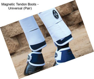 Magnetic Tendon Boots - Universal (Pair)