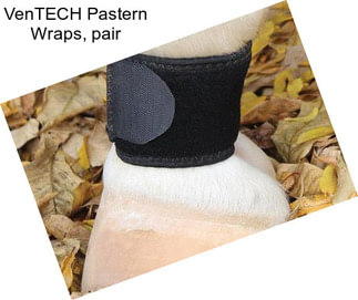 VenTECH Pastern Wraps, pair