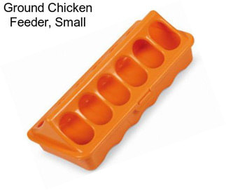 Ground Chicken Feeder, Small