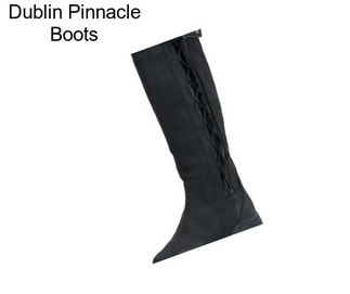 Dublin Pinnacle Boots