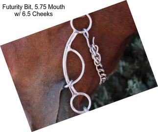 Futurity Bit, 5.75\