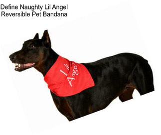 Define Naughty Lil Angel Reversible Pet Bandana