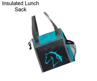 Insulated Lunch Sack