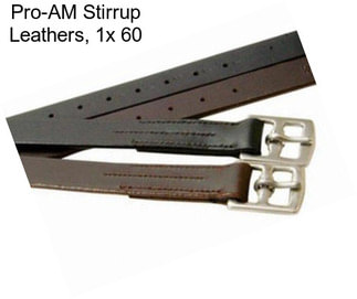 Pro-AM Stirrup Leathers, 1\