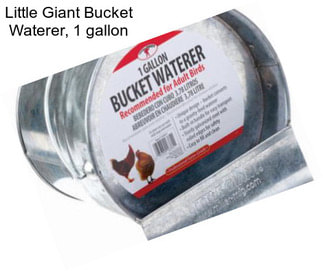 Little Giant Bucket Waterer, 1 gallon