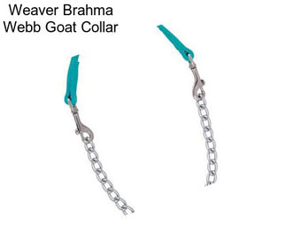 Weaver Brahma Webb Goat Collar