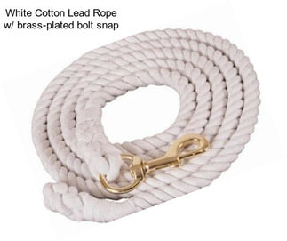 White Cotton Lead Rope w/ brass-plated bolt snap