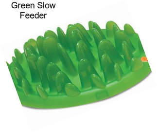 Green Slow Feeder