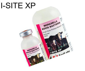I-SITE XP