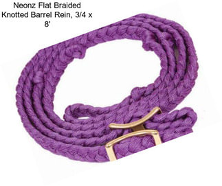 Neonz Flat Braided Knotted Barrel Rein, 3/4\