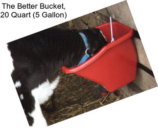 The Better Bucket, 20 Quart (5 Gallon)