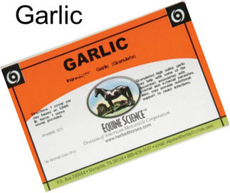 Garlic