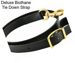 Deluxe Biothane Tie Down Strap