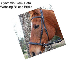 Synthetic Black Beta Webbing Bitless Bridle