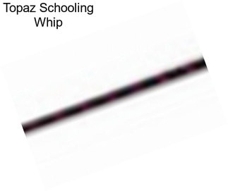 Topaz Schooling Whip