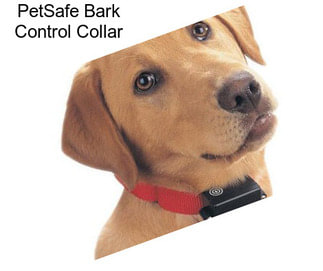 PetSafe Bark Control Collar