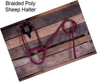 Braided Poly Sheep Halter