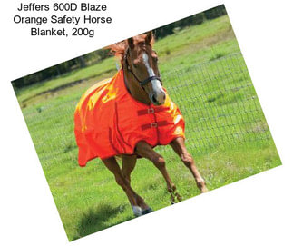 Jeffers 600D Blaze Orange Safety Horse Blanket, 200g