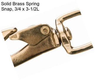 Solid Brass Spring Snap, 3/4\