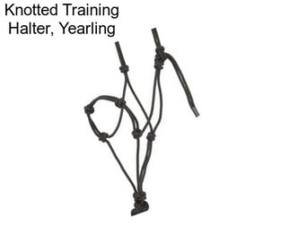 Knotted Training Halter, Yearling