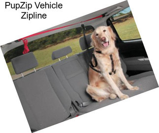 PupZip Vehicle Zipline