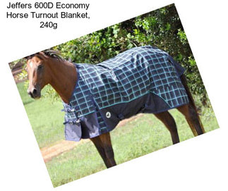 Jeffers 600D Economy Horse Turnout Blanket, 240g