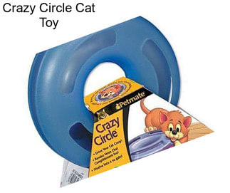 Crazy Circle Cat Toy