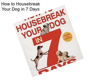 How to Housebreak Your Dog in 7 Days