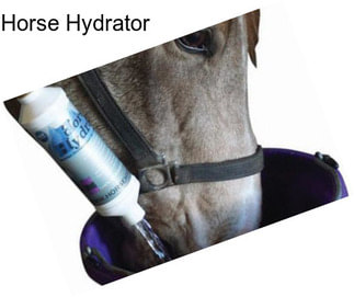 Horse Hydrator