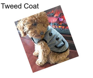 Tweed Coat